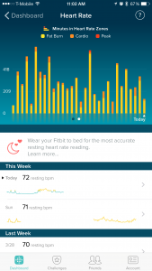 Fitbit Charge HR Activity Tracker Review - Minutes in HR Zones - Analie Cruz